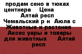 продам сено в тюках 3 центнера  › Цена ­ 1 400 - Алтай респ., Чемальский р-н, Аюла с. Животные и растения » Аксесcуары и товары для животных   . Алтай респ.